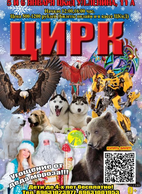 Цирк